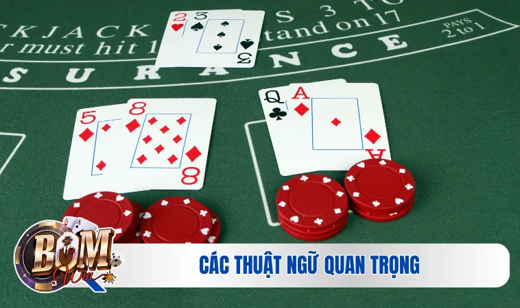 Xì Dách | Tất Tần Tật Về Game Bài Hấp Dẫn Nhất 3 Các thuật ngữ quan trọng