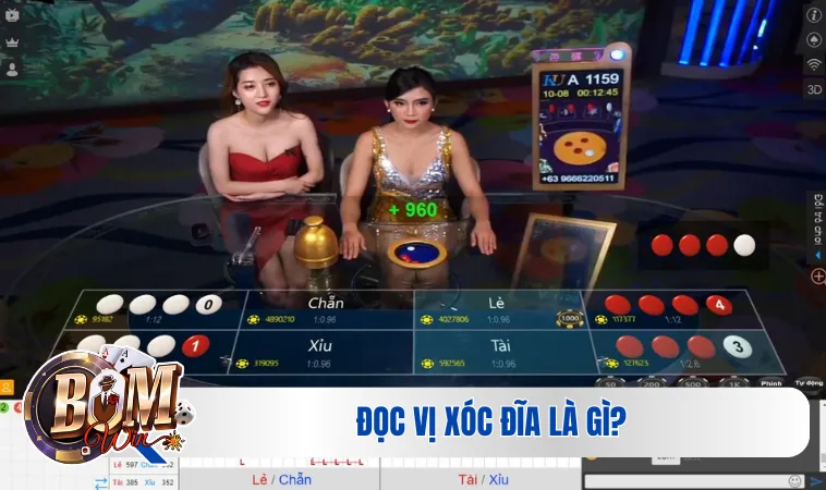 Hướng Dẫn Đọc Vị Xóc Đĩa Hiệu Quả Và Chính Xác Nhất 2024 2 Đọc vị xóc đĩa là gì?