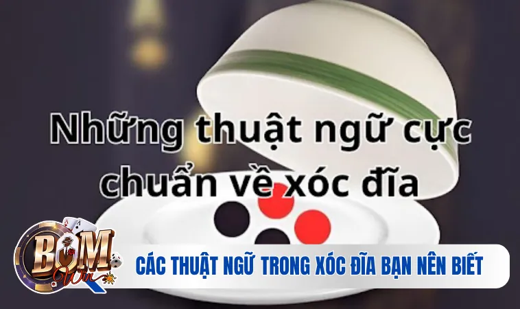 Các thuật ngữ trong xóc đĩa bạn nên biết
